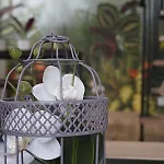 公寓 Cosy 4 Personnes Avec Terrasse