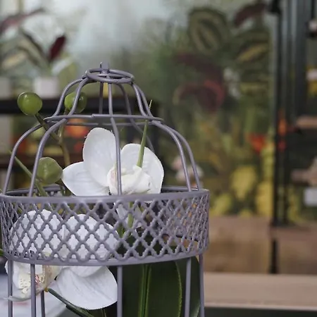 아파트 Cosy 4 Personnes Avec Terrasse